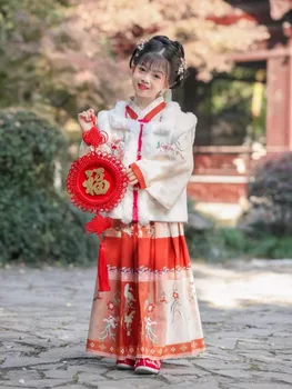 Детское осенне-зимнее улучшенное Древнее платье Hanfu для девочек эпохи Мин, юбка с лошадиным лицом, платье эпохи Тан для девочек, Новогоднее платье