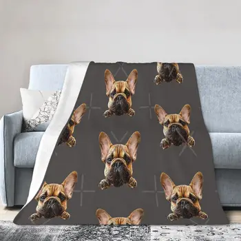 French Bulldog Frenchie Cuteness - Ультрамягкое одеяло из микрофлиса